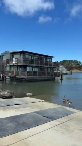 The video pans across a waterfront scene under a bright blue sky with scattered white clouds. In the foreground, a concrete ramp with black mats leads down to the water. To the left of the ramp are rocks and dry vegetation. The water is calm and reflects the sky. A houseboat with multiple levels and balconies is moored in the water. Next to it, another houseboat or waterfront home is visible. Further in the background, more houses and lush green trees line the distant shore. Two Canada geese are standing in the water near the edge of the ramp. The camera slowly moves from right to left, capturing the different elements of the scene.