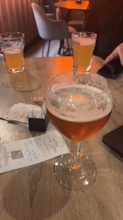 Evening drinks gathering at Bar Montenegro features beer toasts