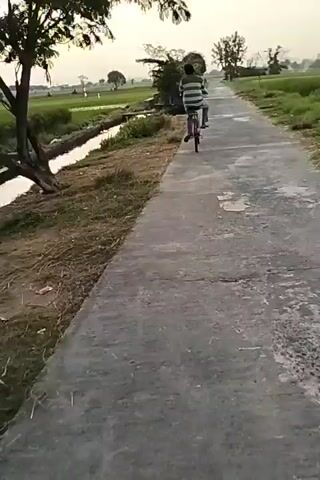 A person rides a bicycle on a paved road. The road is cracked and has a rough texture. The person is wearing a striped shirt and dark pants. The bicycle is red and appears to be an older model. To the left of the road is a narrow canal or ditch with water. Beyond the canal are fields of green crops, likely rice paddies. To the right of the road are more fields and scattered trees. The sky is bright and overcast, suggesting either early morning or late afternoon. The overall environment appears rural and agricultural.
