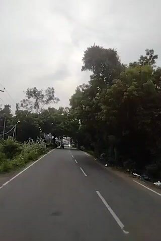 The video shows a first-person perspective of a person riding on a road lined with trees. The sky is overcast, with the sun occasionally breaking through the clouds. There are a few motorcycles and scooters visible on the road, and some people can be seen on the side of the road. The overall scene is peaceful and scenic, with a sense of movement as the rider continues down the road.