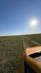 Woman documents countryside drive and rest stop in rural Russia