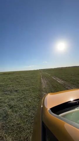 The video shows a view over the hood of a gold vehicle driving on a dirt track through a grassy field on a clear, sunny day. The sky is blue with a bright sun high in the sky, and the field stretches to the horizon, where a few trees and clouds are visible. The vehicle appears to be moving slowly, and the dirt track has two visible tire tracks.