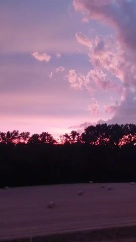 The video shows a rural landscape at dusk. The sky is filled with dramatic clouds colored in shades of pink and purple, illuminated by the setting sun. A dark silhouette of a treeline stretches across the middle of the frame. In the foreground, a field with several round hay bales is visible, bathed in the purplish light of twilight. A dark road runs along the bottom edge of the frame.