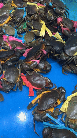 Morning dining and shopping scenes captured in Nha Trang