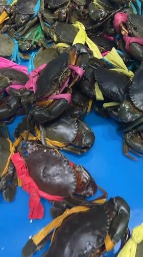 Morning dining and shopping scenes captured in Nha Trang