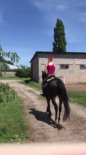 Woman enjoys morning horseback ride at Kharkiv equestrian facility
