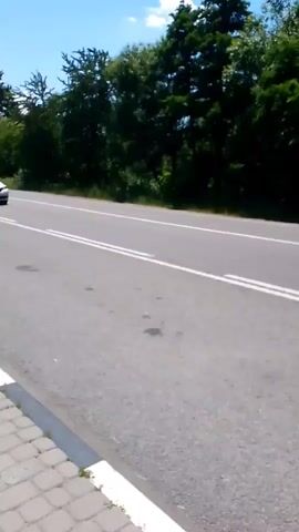 A white car is driving down a paved road lined with trees. The car is in the left lane and moving towards the right side of the frame. The road has two white lines marking the lanes. The sky is blue and clear.
