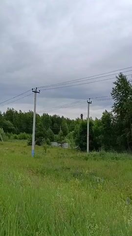 This is a short video clip shot from a low angle, looking across a grassy field towards a line of trees and some industrial structures. The sky is overcast and appears to be a dull, cloudy day. Two prominent power line poles with wires are visible in the foreground, with a third pole further in the background on the right. Beyond the field, a dense line of green trees forms a backdrop, with some of the trees appearing to sway in the wind. Peeking through the trees, a tall, dark industrial chimney or smokestack is visible, suggesting the presence of a factory or processing plant. There is also a low, grey, concrete structure visible in the mid-ground, partially obscured by vegetation. The overall impression is one of a somewhat desolate or abandoned industrial area on the outskirts of a natural landscape. The grass in the field is tall and overgrown, with some hints of purple flowers mixed in. No people are visible in the clip. The time of day is unclear due to the overcast sky, but the lighting suggests it is daytime.