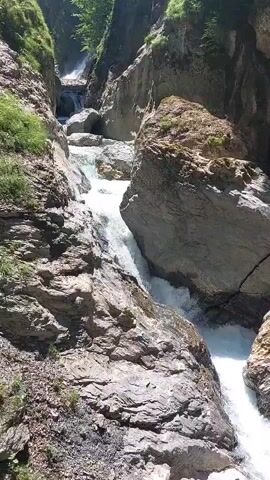 A video shows a narrow gorge with a fast-flowing river at the bottom. Steep, rocky walls covered in patches of green grass and trees rise on either side. The river cascades over rocks, creating white water. Sunlight filters down into the gorge, illuminating the scene. The camera appears to be looking down into the gorge from a slightly elevated position. No people or man-made objects are clearly visible.