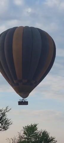The video shows a hot air balloon in flight against a partly cloudy sky. The balloon is large and has alternating grey and tan vertical stripes. A rectangular basket hangs beneath the balloon, containing people. The camera is positioned low, with some green foliage visible at the bottom of the frame. The camera remains stationary throughout the short clip.