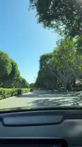 The view from inside a car driving on a sunny day shows a road lined with manicured hedges and large trees. The sky is bright blue, and the sun is shining. The windshield is slightly dirty. The car appears to be moving at a moderate speed. The trees cast shadows on the road.