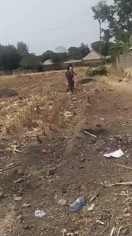 The video shows two people walking along a dirt path through a barren field. The field is filled with dry stalks, dirt, and scattered trash, including plastic bottles and paper. In the background, there are a few simple buildings and trees. One person is carrying something green, possibly vegetation, on their shoulder. The sky is overcast and bright, creating a flat light. The camera angle is static, and the scene is captured from a low vantage point near the ground.