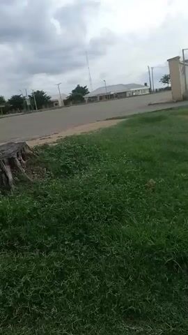 The video shows a landscape with a tree stump in the foreground. The stump is surrounded by green grass and small white flowers. In the background, there is a paved area, possibly a road or parking lot, with some buildings and trees. The sky is overcast with clouds. The camera appears to be moving slightly, suggesting it is handheld or on a shaky surface. There are no people or animals visible in the video. The overall impression is one of an outdoor environment, possibly in a semi-urban or suburban setting.