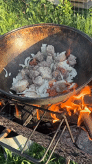 Woman documents outdoor cooking session in Chaikovsky, Russia