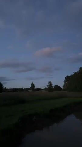 The video is a vertical, low-light shot of a rural landscape at dusk. The sky is a deep blue with scattered clouds, some tinged pink. In the middle ground, there is a field of tall grass or crops with a few scattered trees. In the foreground, the dark water of a pond or ditch reflects the dim sky. The overall impression is one of peaceful twilight. There are no people or discernible objects in the frame besides the natural elements.