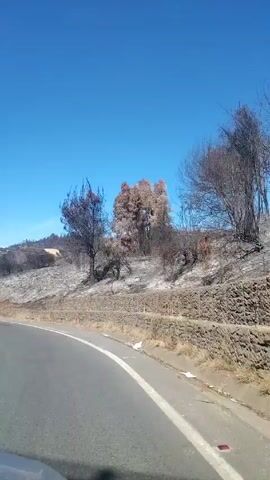 The video shows a car driving on an asphalt road with a white line separating lanes. On the right side of the road, there's a hillside that has been burned, with charred trees and grey ash covering the ground. A stone retaining wall runs along the base of the hillside, next to the road. As the car drives forward, a street lamp comes into view. In the distance, a small town is visible on the horizon, with buildings clustered together. The sky above is clear and blue. The overall scene depicts the aftermath of a fire in a rural area.