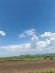 Spring farmland documented under clear skies in Kryvyi Rih