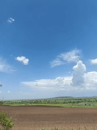 Spring farmland documented under clear skies in Kryvyi Rih