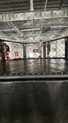 Martial arts training session observed in caged facility