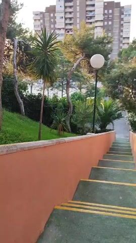 A shot looking up a set of outdoor stairs. The stairs have green treads with yellow safety strips and are bordered by peach-colored railings. There is green grass and trees on either side of the stairs. In the background, there are tall apartment buildings. A lamppost with a white globe light is visible to the left of the stairs, between the stairs and a tree. The lighting suggests it is either early morning or late afternoon.