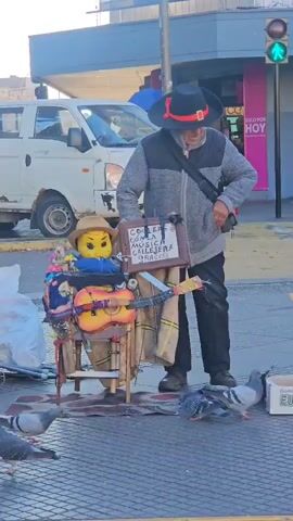 The video shows a street scene in a city. A man stands on a crosswalk with a small homemade display. The display includes a child's chair, a Lego head wearing a hat, a small guitar, and a sign that reads "COOPERA CON LA MUSICA CALLEJERA GRACIAS." The man is wearing a hat, a jacket, and dark pants. He appears to be feeding pigeons, which are gathered around his feet. People and cars pass by in the background, and a traffic light is visible showing a green signal.