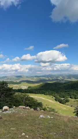A wide-angle vertical video captures a scenic mountainous landscape under a bright blue sky with fluffy white clouds. In the foreground, a grassy slope is dotted with rocks and a small flock of sheep grazing. A patch of trees is visible to the left. The middle ground features rolling green hills and dense forests, with shadows cast by the clouds. In the distance, layers of mountains fade into the hazy horizon, with some structures, possibly buildings or cell towers, visible on the undulating terrain. The overall impression is one of a serene, rural, and natural environment.