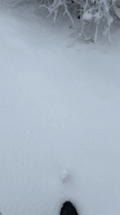 Spring snowfall blankets Cheboksary, Russia in April