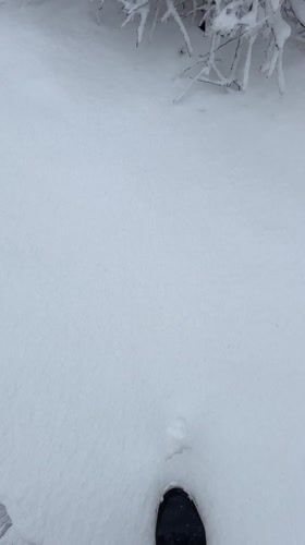 Spring snowfall blankets Cheboksary, Russia in April
