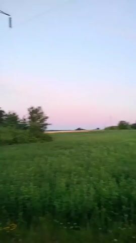 The media file captures a serene rural landscape at dusk in Kavetchyna, Ukraine. The scene is dominated by vast green fields stretching towards the horizon, interspersed with patches of cultivated land in varying shades of yellow and green. A tall, solitary utility pole stands prominently in the foreground, its wires faintly visible against the pale sky. In the middle ground, a cluster of dense green trees adds depth to the landscape.

The sky transitions from a soft, pale blue near the top to delicate hues of pink and lavender closer to the horizon, indicating the setting sun. The light is diffused, creating a peaceful and tranquil atmosphere. On the left side of the frame, a small section of a building with a red roof and a dark fence is visible, suggesting the presence of a dwelling or farmstead.

There are no people visible in the media. The overall activity is the quiet stillness of a rural evening. The weather appears clear and calm, ideal for observing the twilight. The location cues, such as the utility pole, agricultural fields, and the distant horizon, are characteristic of a Ukrainian countryside. The prevailing emotion conveyed is one of peace and natural beauty. No text is visible in the media file.