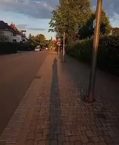 The video shows a long shadow of a person walking down a cobblestone sidewalk next to a street. The sun is low in the sky, casting a warm glow on the scene, and trees and houses are visible in the background.