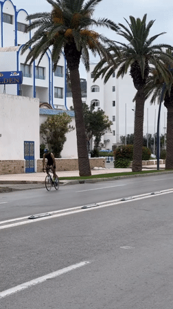 Cyclists ride palm-lined streets in M'Diq Morocco morning