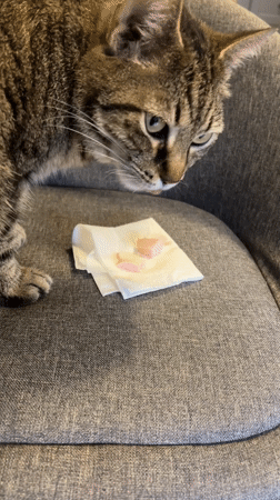 Person takes mirror selfie in Budva, Montenegro