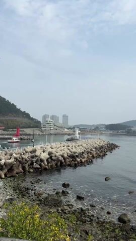 The video shows a calm coastal scene under a cloudy sky. In the foreground, there's a rocky shoreline with some green vegetation. A breakwater made of large concrete tetrapods extends into the water. A white lighthouse sits at the end of this breakwater. In the distance, there are buildings, including some high-rise apartments, along the coastline. A small red lighthouse is visible on the left side of the breakwater. The water is calm and dark, and the overall atmosphere is serene.