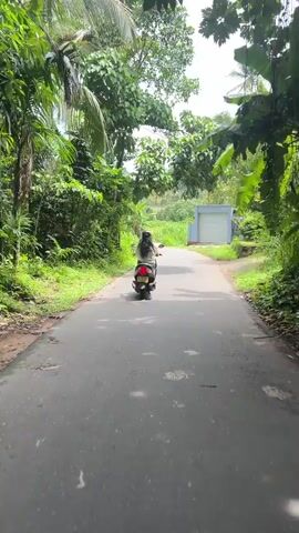 The video shows someone driving a scooter down a paved road, away from the camera. The scooter is dark in color, and the driver is wearing a helmet and a light-colored top. The road is surrounded by lush greenery, including tall grass, trees, and various tropical plants. In the distance, there are hills and buildings. The sky is blue with some clouds. Another scooter is also driving down the road in the same direction further ahead. The road appears to be a relatively quiet local route.