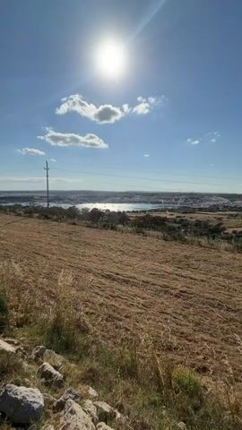 The video shows a rural landscape on a bright sunny day. In the foreground is a field of dry, harvested grass. Some low-lying vegetation and rocks line the edge of the field. In the background, a body of water is visible, surrounded by what appears to be a town or city. A power pole stands in the middle ground, with lines stretching across the landscape. The sky is blue with a few white clouds, and the sun is shining brightly.