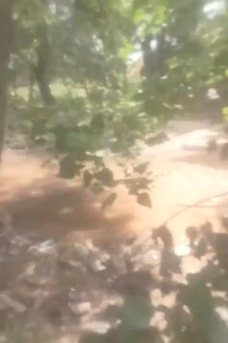 The video shows a muddy stream or body of water with debris scattered on the banks. Trees and foliage are visible in the background, creating a natural, possibly overgrown environment. The water appears murky and stagnant. There are no clear individuals or specific actions depicted, and the focus is on the general scene of a polluted natural area.