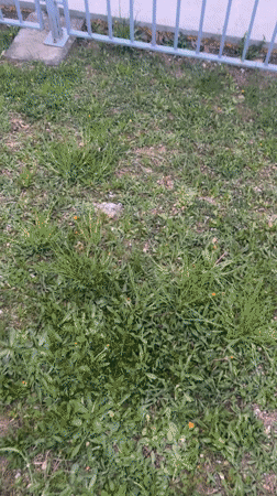 Outdoor scenes documented across Sofia including stadium, monument, sports complex