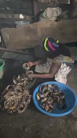 A woman squats in a dark room, sorting dried fish in three containers. She wears a colorful knit cap, a dark top, and a patterned skirt. Two baskets and a blue plastic tub contain the dried fish, which appear to be ring-shaped. The room has wooden walls and a dirt floor. Other containers and objects are visible in the background, but their details are unclear due to the dim lighting. The woman is actively handling the fish, moving them between the containers.
