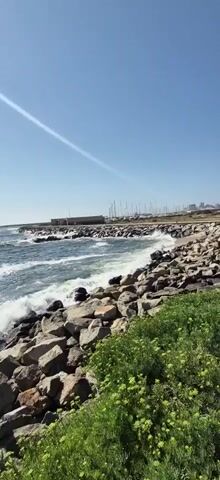 The video opens with a view of the ocean crashing against a rocky shore. The water is a vibrant blue, and the waves are white and foamy. Beyond the rocks, a marina is visible with numerous sailboats docked. In the distance, the skyline of a city can be seen. A concrete walkway runs along the right side of the frame, bordering a lush green area of vegetation. The sky is clear and blue, suggesting a sunny day. The sun is high in the sky, casting a slight glare on the water and creating a bright, clear atmosphere. The scene is peaceful and serene, evoking a sense of tranquility and natural beauty. The location appears to be Vila do Conde, Portugal, a coastal town known for its maritime heritage and picturesque scenery.