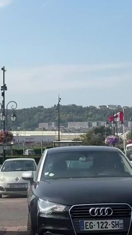 A vertical video shows a street scene in a town with cars and buildings. In the foreground, a white Renault car is parked. To the left of the Renault, a French flag is visible. In the background, there are buildings and a hill. A lamppost with hanging flowers is also visible. The sky is clear and blue. Another car, a dark-colored Peugeot, is parked in front of the white Renault. There are other cars parked behind the French flag.