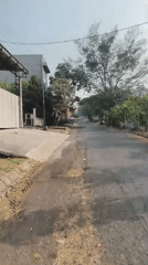 Tree-lined street in Gadung, Indonesia, showing everyday road conditions.