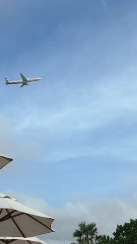 A commercial airplane is captured in mid-flight against a backdrop of a clear blue sky with scattered clouds. The airplane, appearing to be a narrow-body jet, is white with a distinct livery featuring a geometric pattern in shades of gold and brown on its tail and along its fuselage. The plane's engines are visible beneath its wings, and its landing gear is retracted. The camera angle suggests the viewer is looking up at the aircraft from ground level. In the foreground, partially visible, is the edge of a large, cream-colored umbrella, suggesting an outdoor setting, possibly a resort or patio area. To the right and bottom of the frame, the tops of dark green trees and palm fronds are visible, indicating a tropical or subtropical environment. The airplane is moving from left to right across the frame and appears to be either ascending or on a steady course. There are no people clearly visible in the frame, and the focus is on the airplane and the sky.