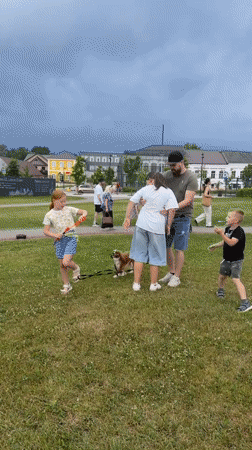 Family park day with playground fun and lakeside activities