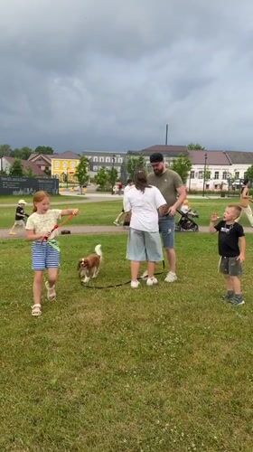 Family park day with playground fun and lakeside activities