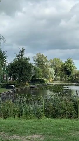 A tranquil scene unfolds with a body of water, likely a canal, bordered by lush green grass and reeds in the foreground. The water is dotted with numerous lily pads, and a small dark object, possibly a bird or a piece of debris, is visible on one of the pads. In the background, a variety of trees with dense green foliage line the opposite bank of the canal. A few structures, appearing to be houses or buildings, are partially visible amongst the trees on the left side of the frame. The sky is overcast with heavy, gray clouds, suggesting a cloudy or possibly rainy day. A slender tree with drooping branches is present on the far left. Two dark, elongated objects, likely boats, are moored along the edge of the canal on the left bank. The overall atmosphere is serene and natural.