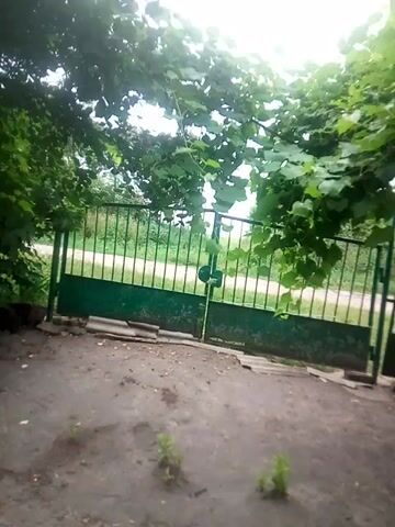 The video shows a person filming through a green metal gate with large green leaves in the foreground. The gate is partially open, and the camera moves slightly, giving a glimpse of a path beyond the gate. The path appears to be dirt or gravel, with grass and trees on either side. The video is shaky and out of focus at times, suggesting it was filmed on a mobile phone. The lighting suggests it is daytime, possibly overcast. The overall impression is of an outdoor, somewhat overgrown, and rustic environment.