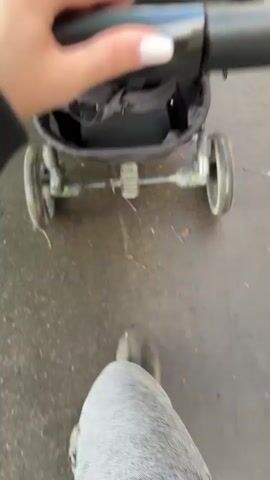 A first-person perspective video shows someone pushing a black stroller down a sidewalk next to a building and a row of trees. The stroller has a black fabric seat and a black handle. The person's hand, with white painted nails, is visible on the handle. The person's feet, wearing black shoes and grey pants, are also visible. The sidewalk is paved and there are fallen leaves on it. The building next to the sidewalk is multi-story and has balconies. The trees are tall and green, with white bark. The sky is blue. The video appears to be shot on a sunny day.