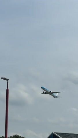 An airplane with KLM livery is captured in flight against a cloudy sky. The plane appears to be ascending. In the foreground, a portion of a street lamp post and dense green foliage are visible. The video focuses on the airplane's movement as it traverses the sky.