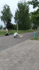 Man plays with small white dog in Baranavichy park