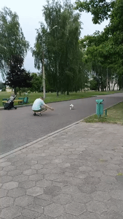 Man plays with small white dog in Baranavichy park